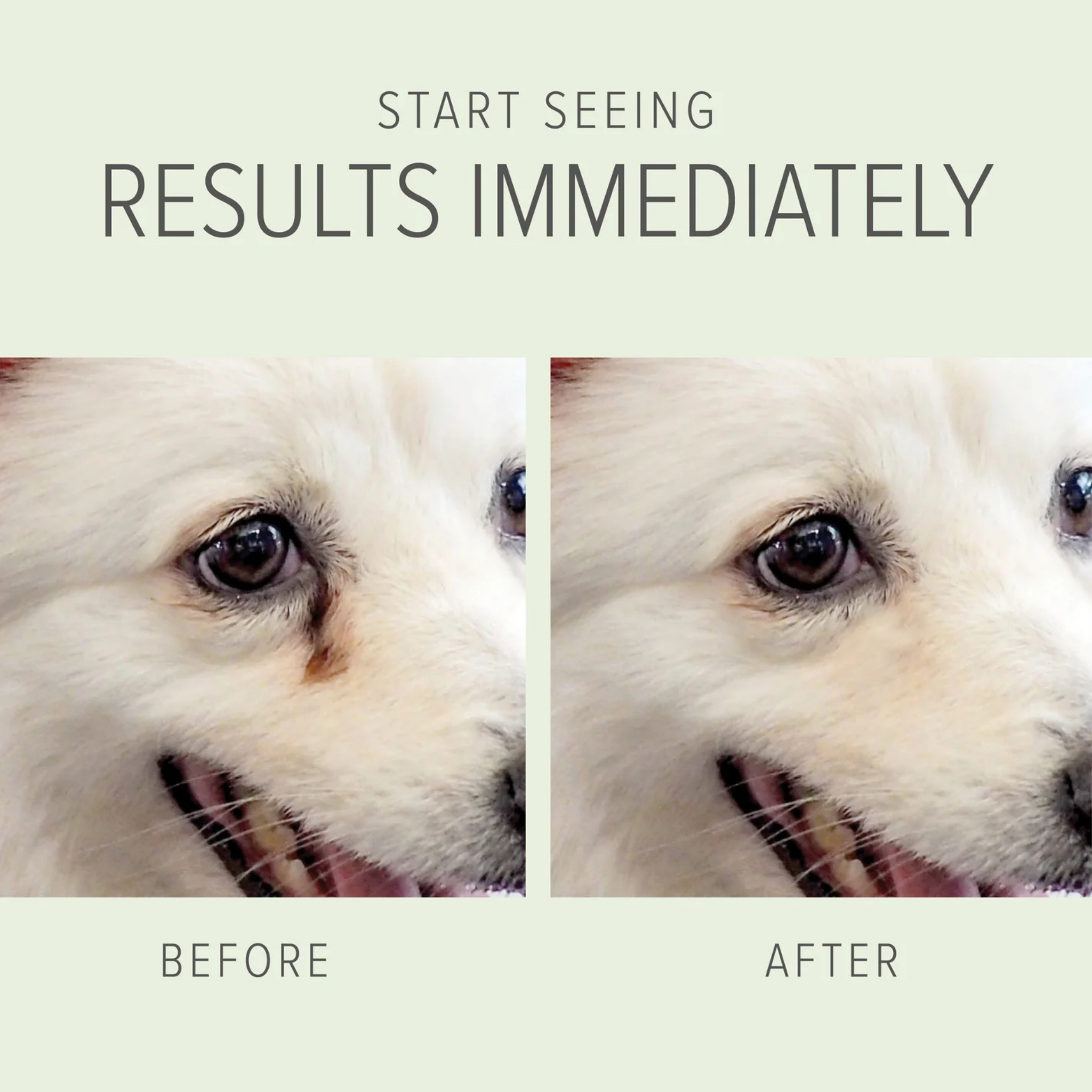 Pure & Natural Pet Organics Tear Stain Removing Under Eye Wipes for Pets