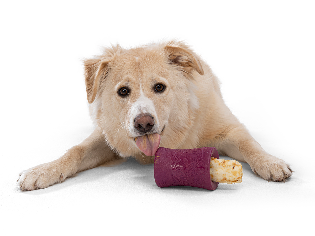 West Paw Funnl Dog Toy