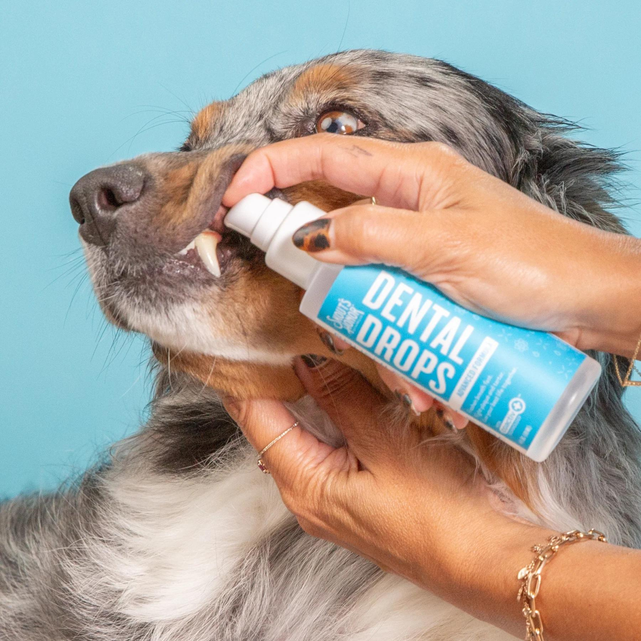 Skout's Honor Advanced Formula Dental Drops