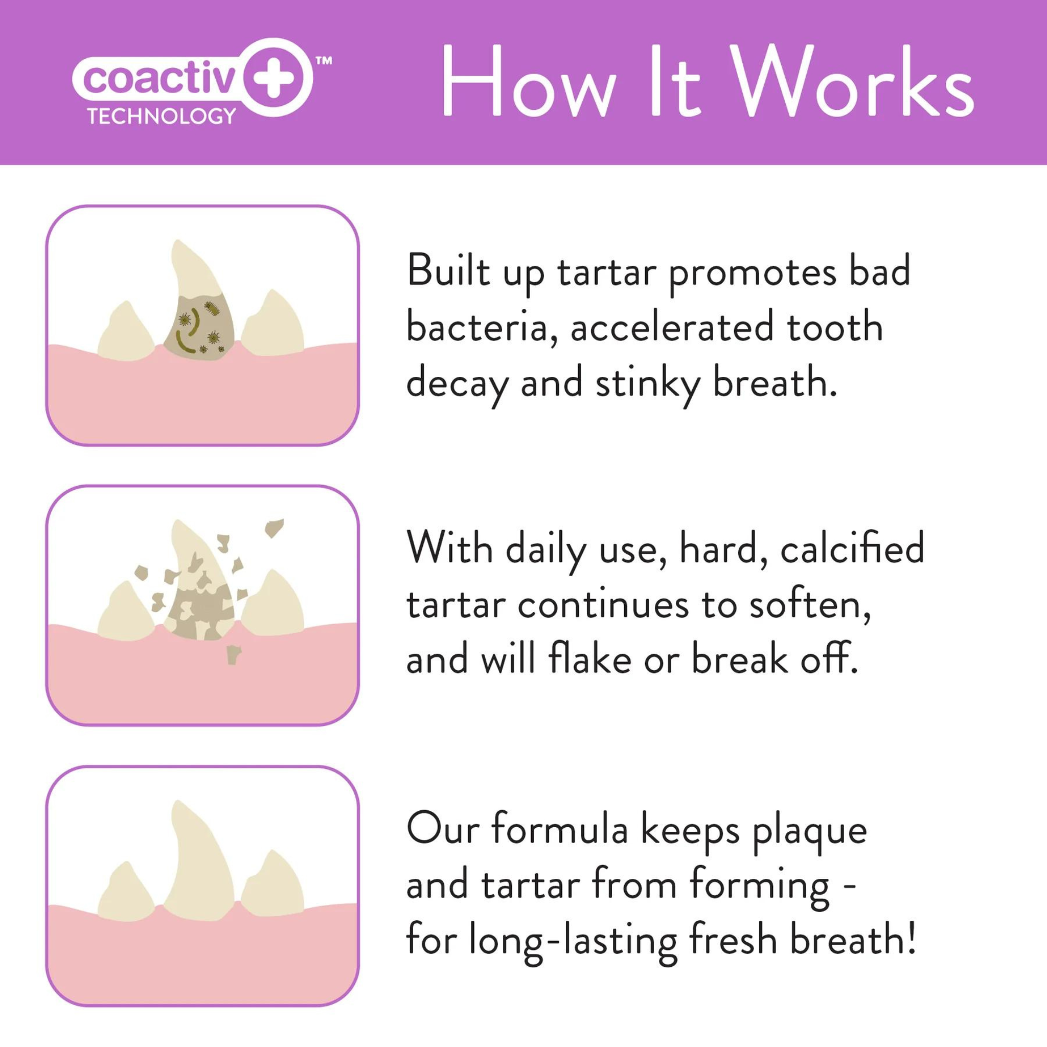 Skout's Honor Everyday Fresh Dental Wipes