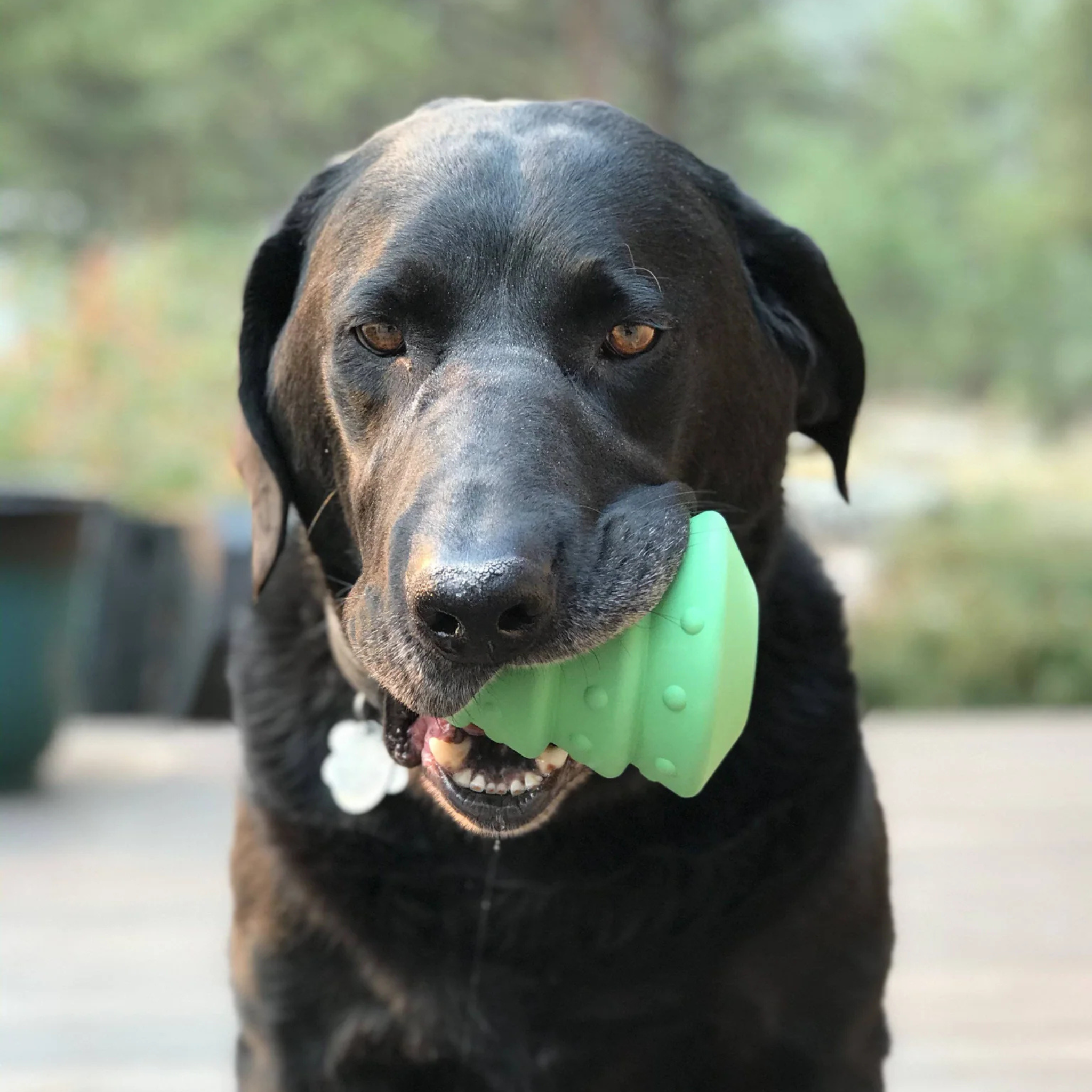 Soda Pup Christmas Tree Durable Rubber Treat Dispenser Dog Toy