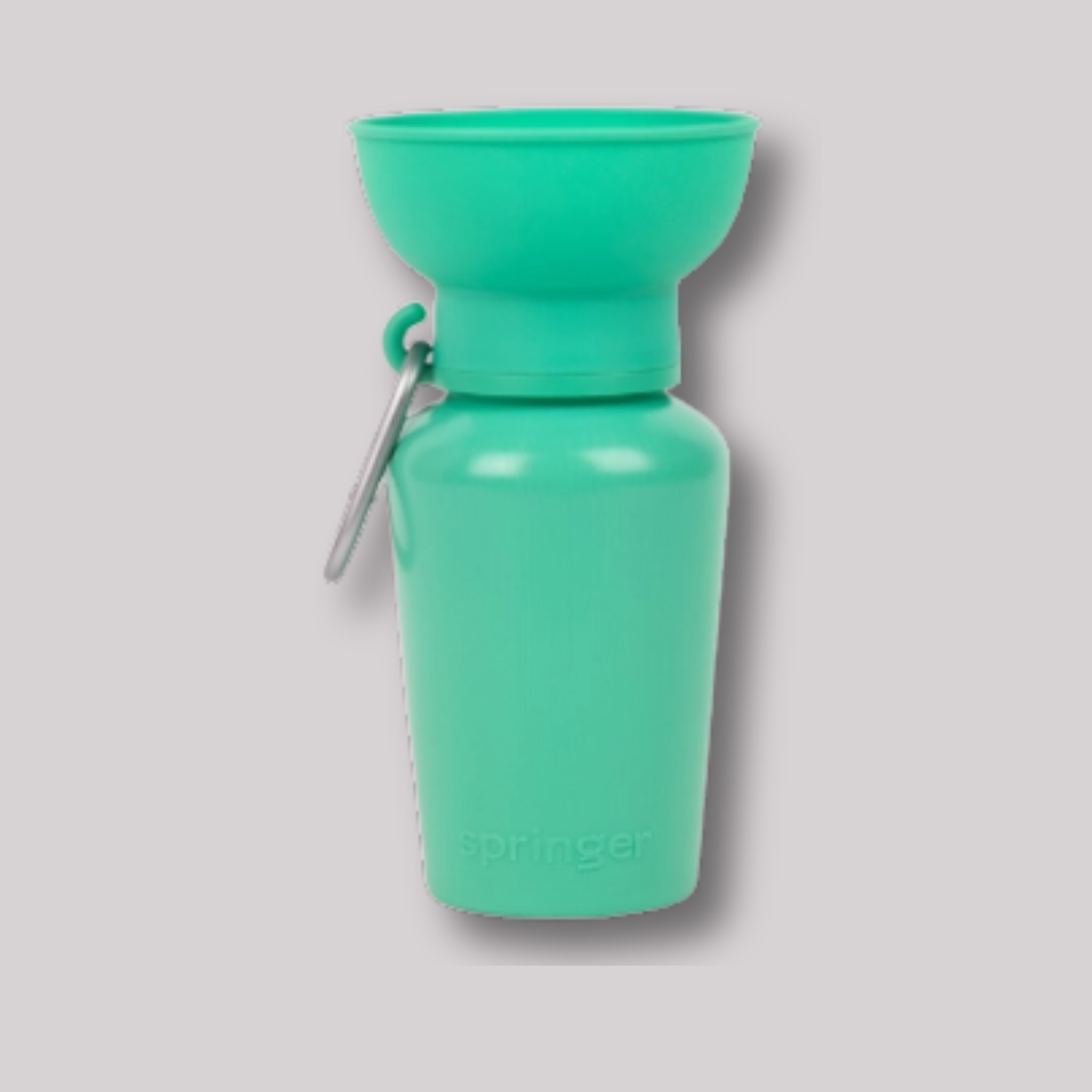 Springer Flip Travel Water Bottle 20oz