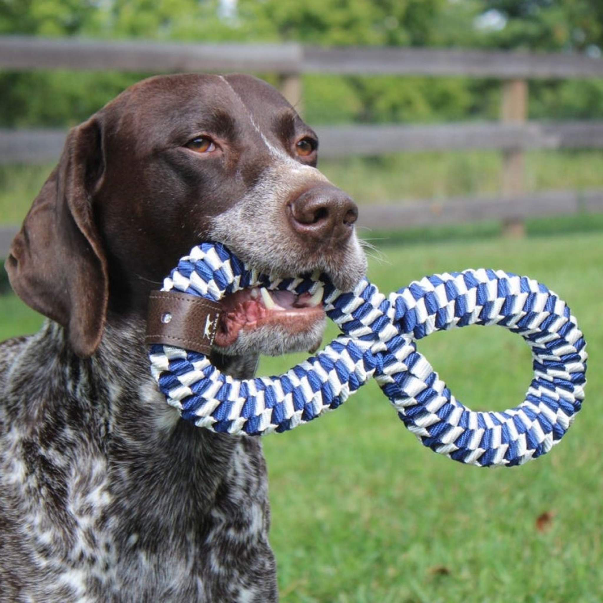 Tall Tails Braided Infinity Tug Dog Toy
