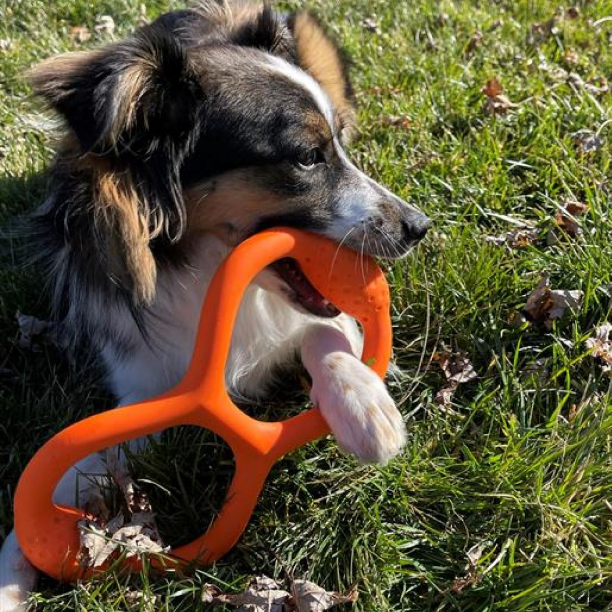 Tall Tails Goat Rubber Tug Dog Toy