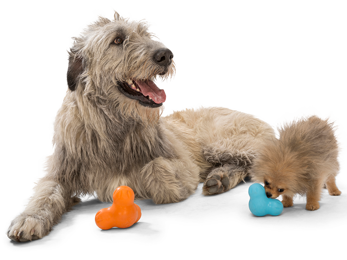 West Paw Tux Dog Toy
