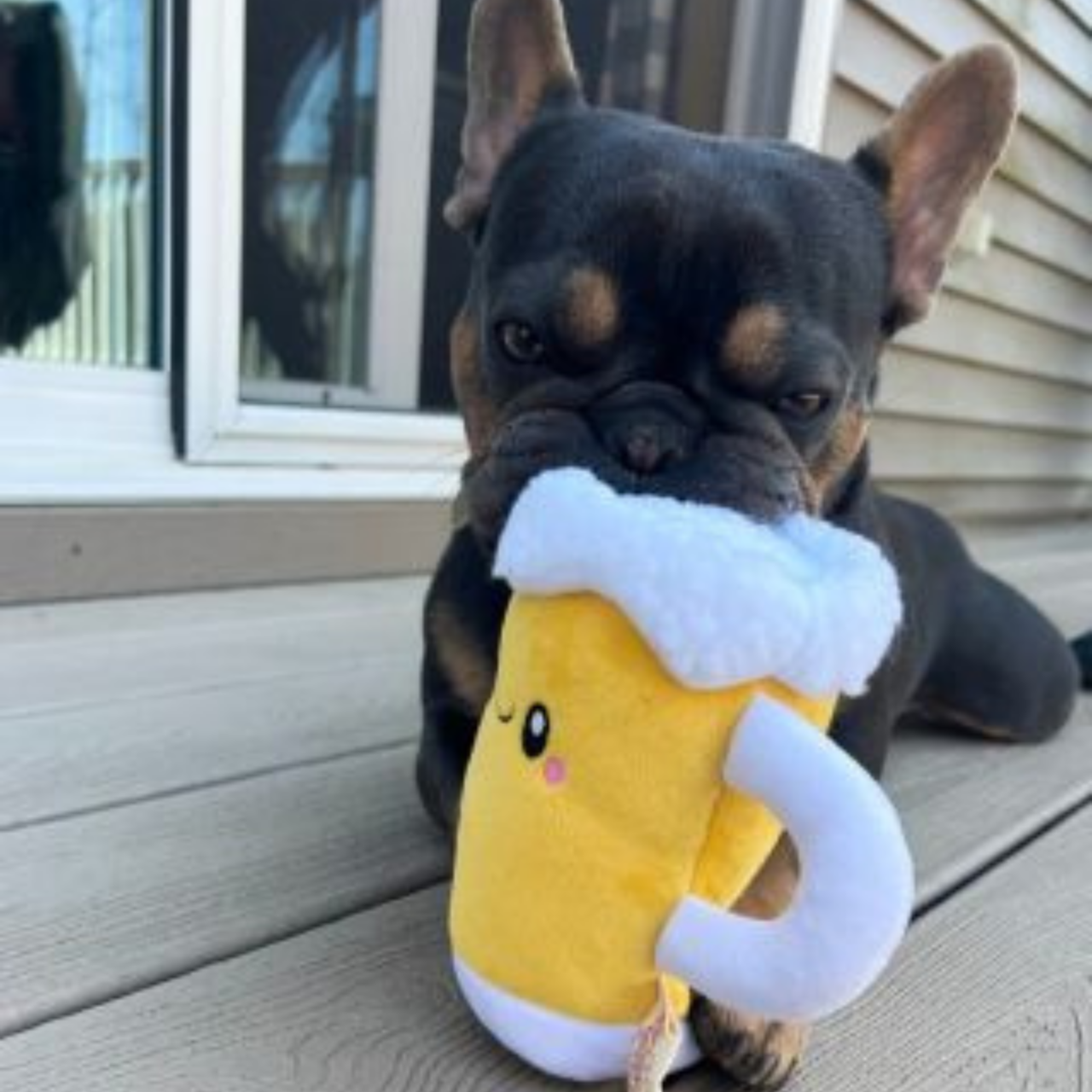 Territory Beer with Squeaker Dog Toy
