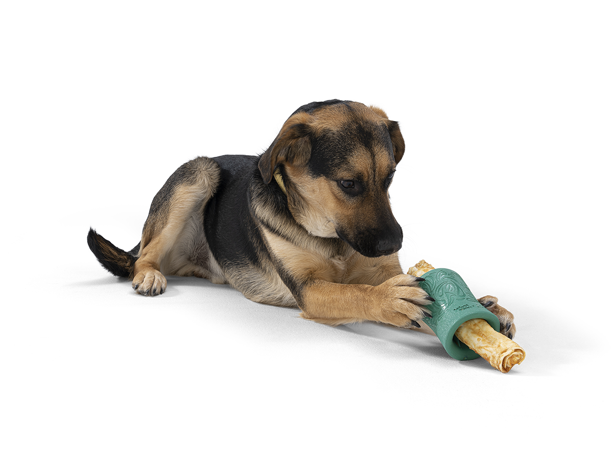 West Paw Funnl Dog Toy