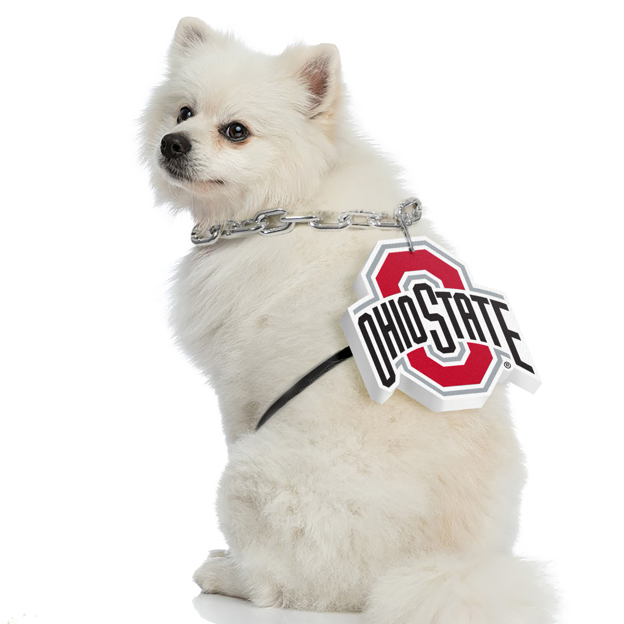 Little Earth Ohio State Fan Dog Chain