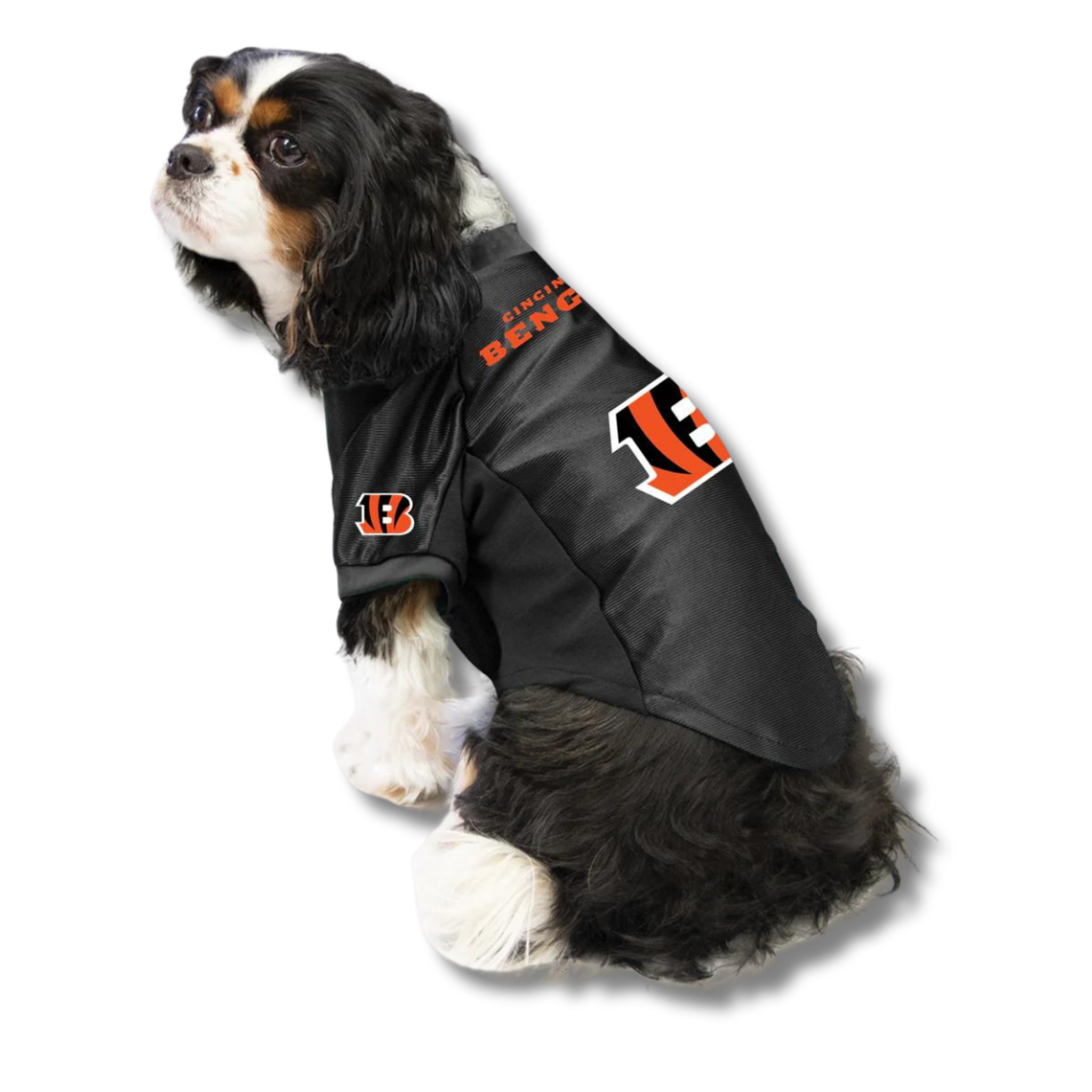 Little Earth Cincinnati Bengals Pet Stretch Jersey