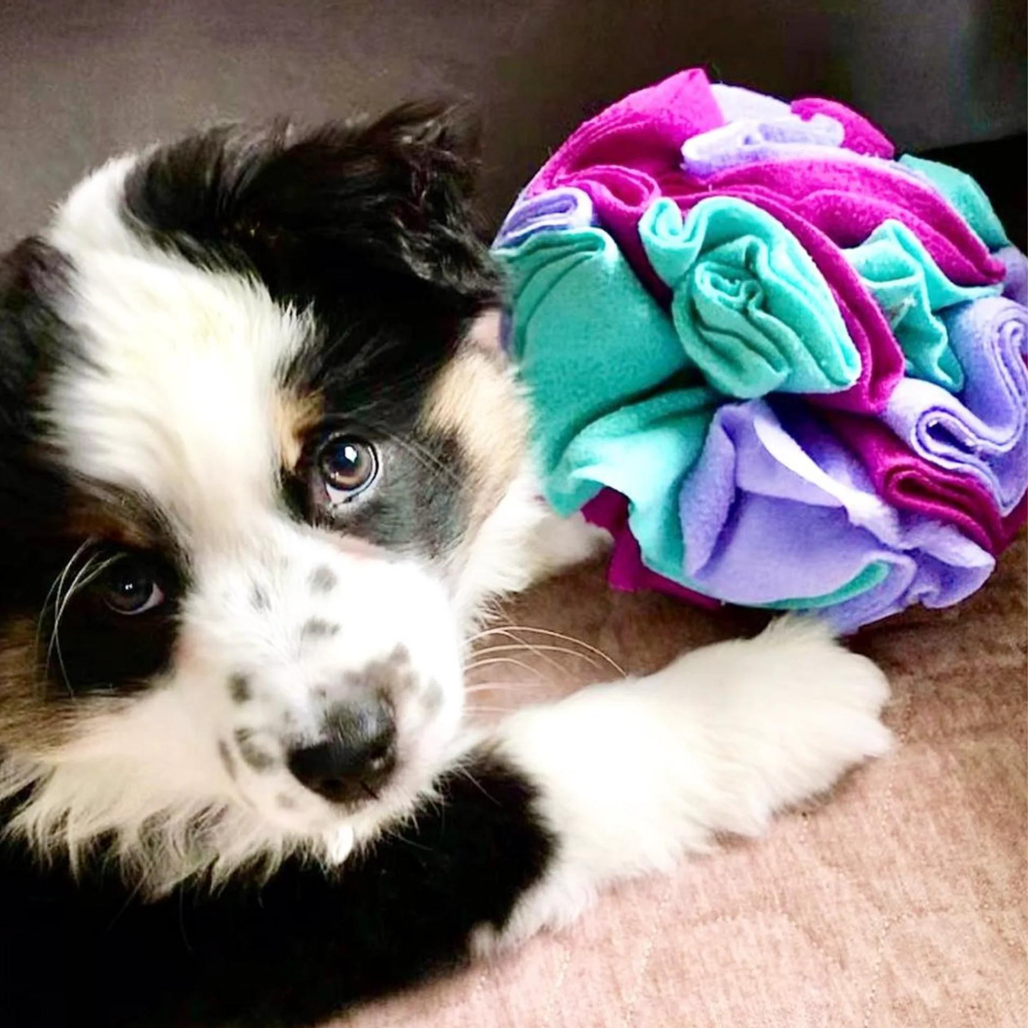 foufou Hide 'n Seek Snuffle Ball