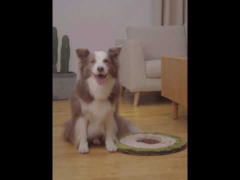 Injoya Cookie Snuffle Mat