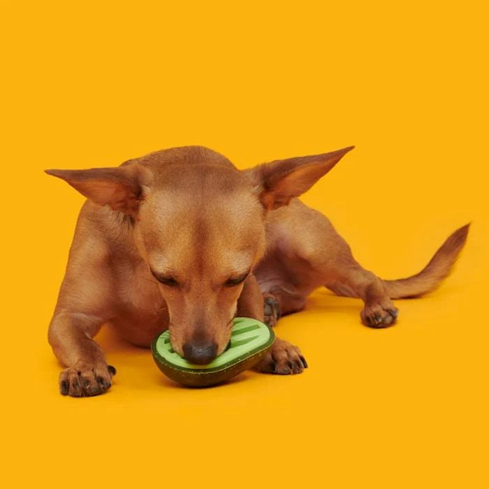 BARK Avocadoggo Super Chewer Dog Toy
