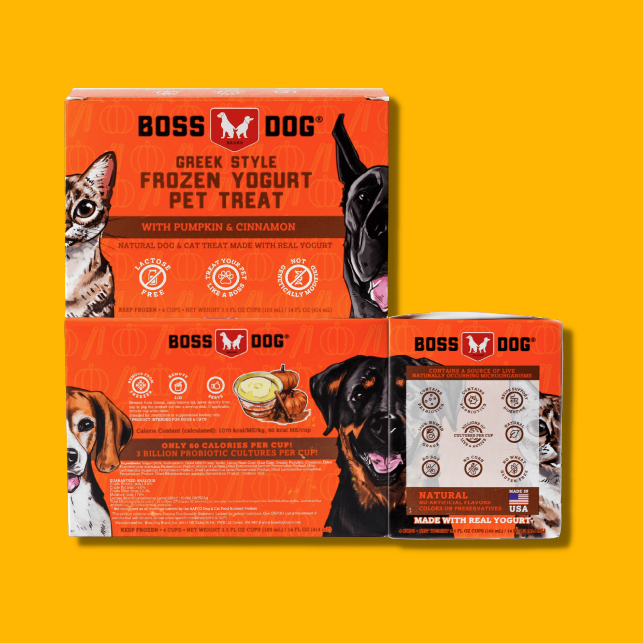 Boss Dog Pumpkin & Cinnamon Frozen Yogurt Pet Treat 4 Pk