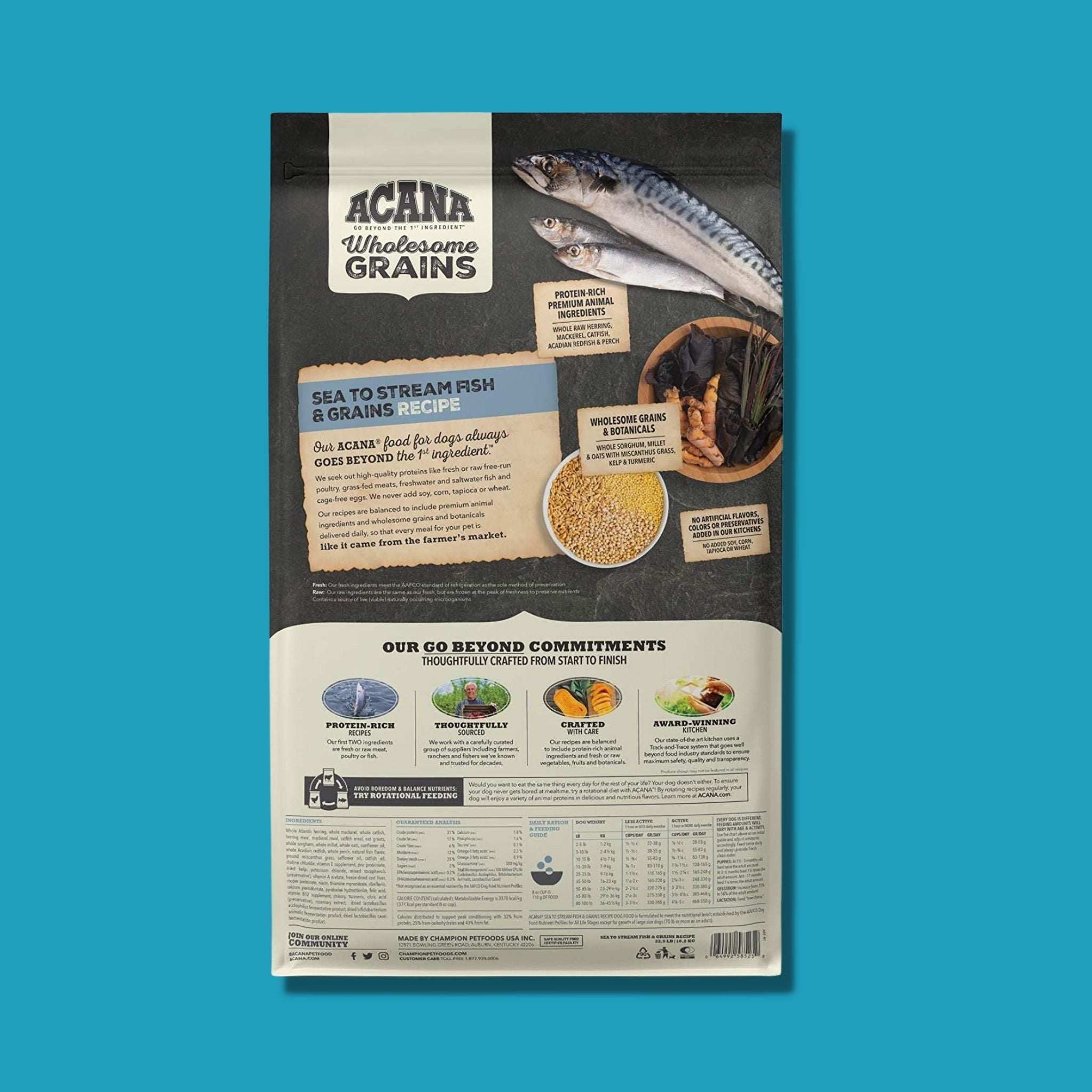 Acana Sea to Stream Fish with Wholesome Grains Dry Dog Food