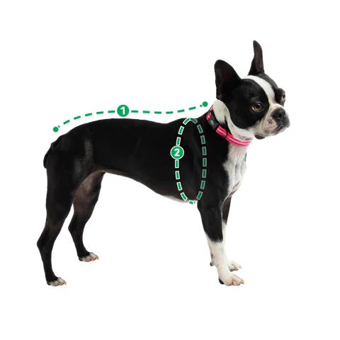 GF Pet Reversible Black Chalet Jacket