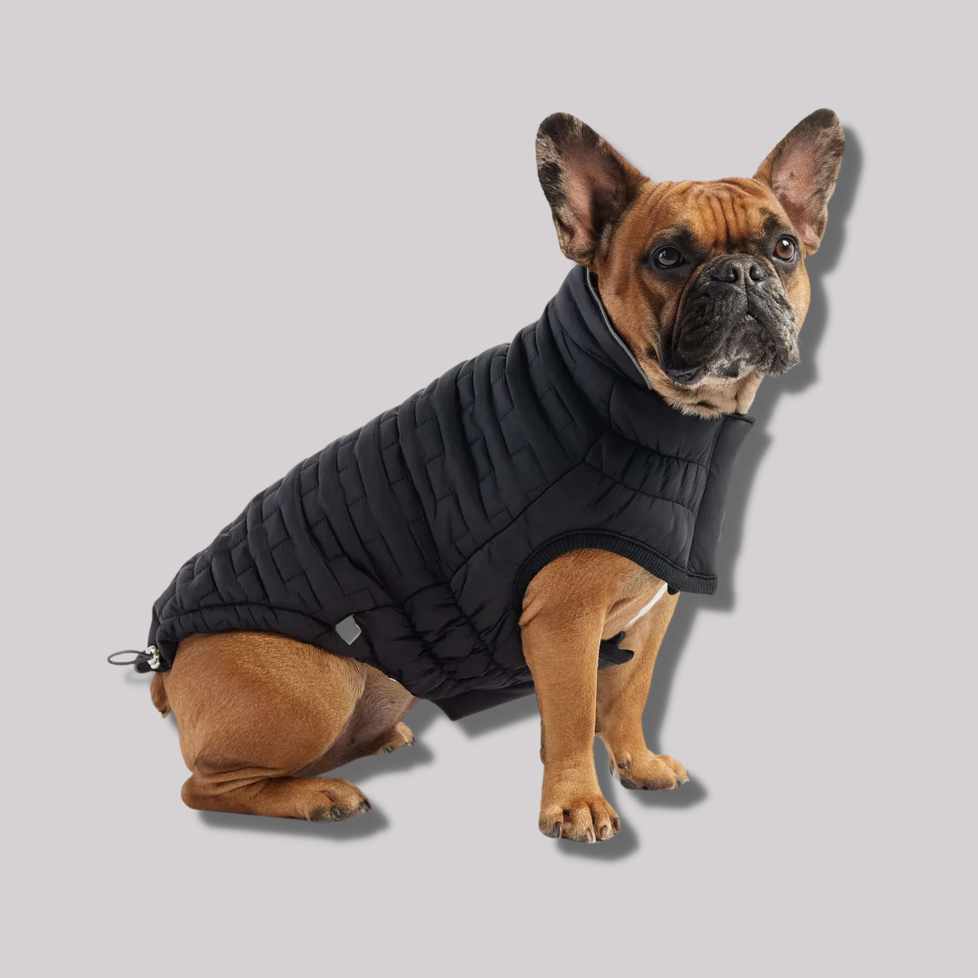 GF Pet Reversible Black Chalet Jacket