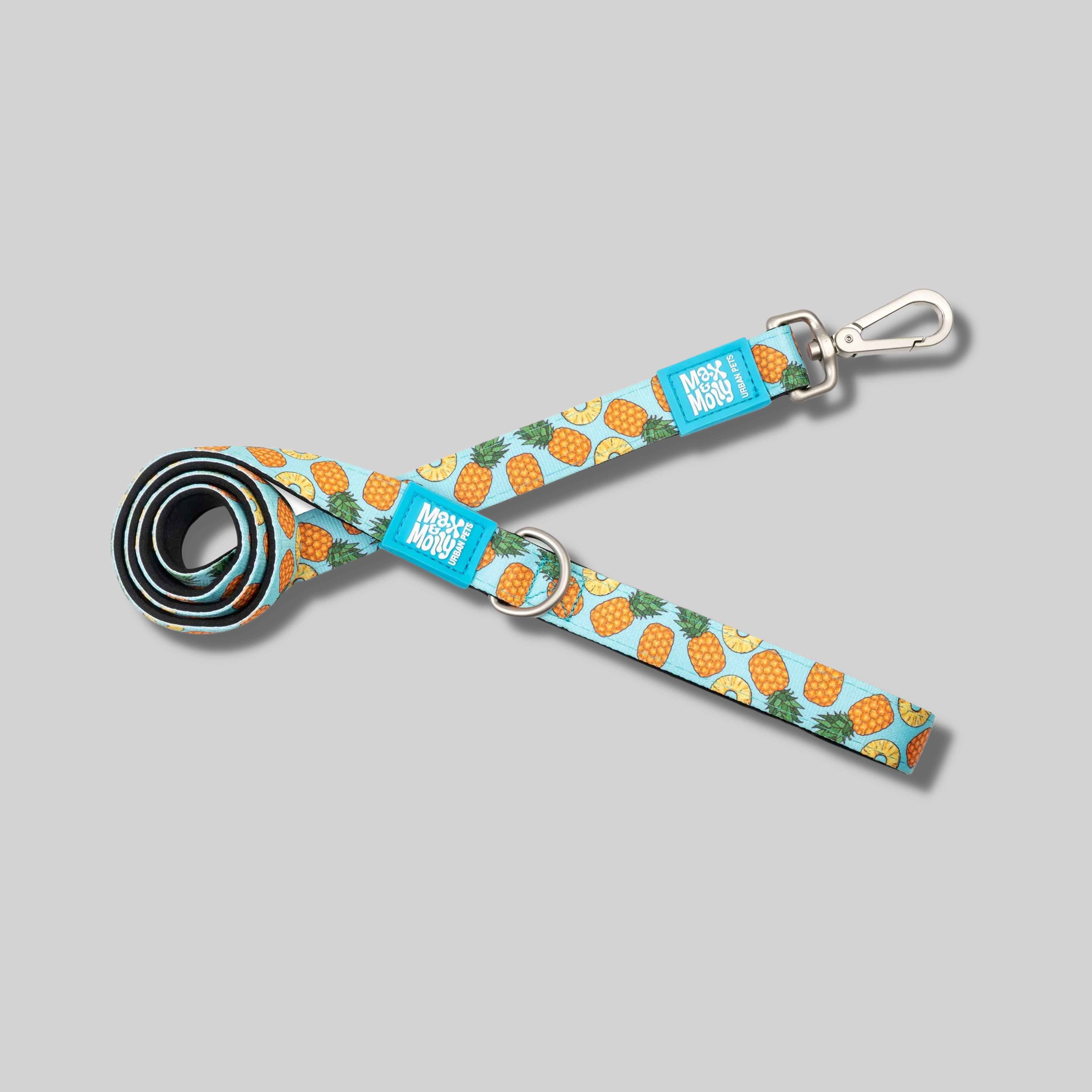Max & Molly Sweet Pineapple Leash