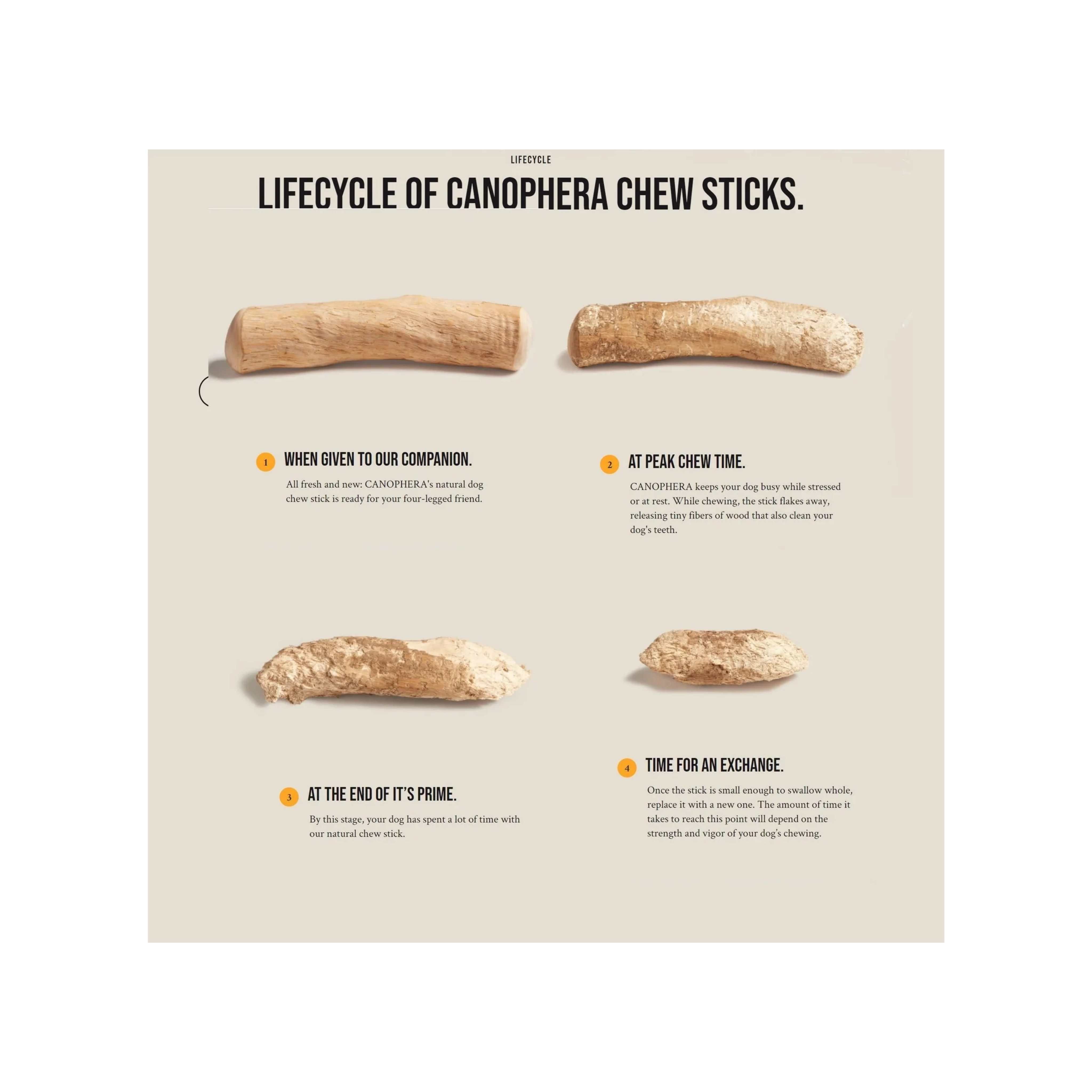 Canophera Natural Wood Stick Dog Chew